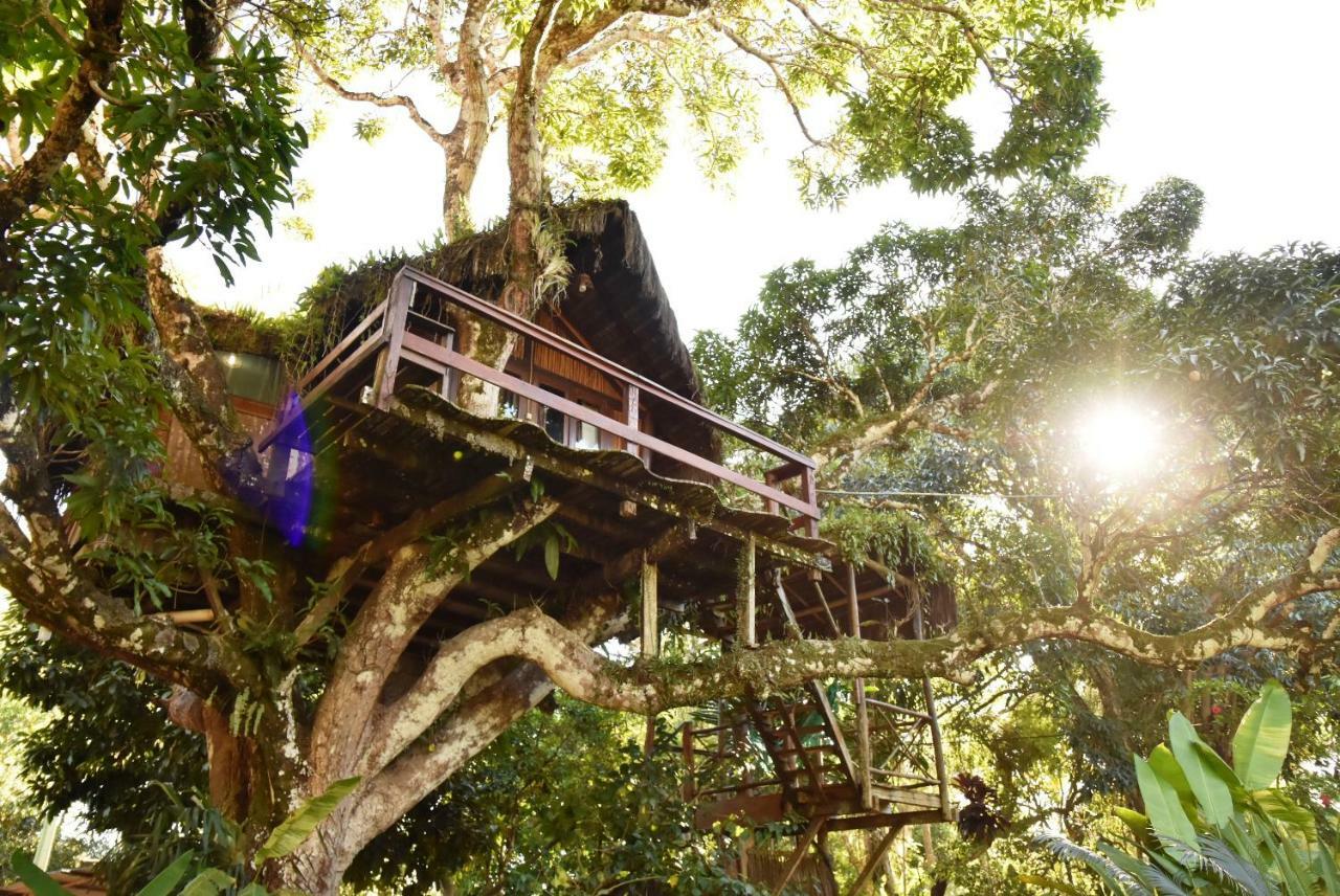 Art Jungle Ξενοδοχείο Itacaré Εξωτερικό φωτογραφία